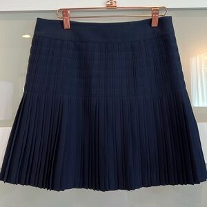 Pleated Navy J Crew Skirt